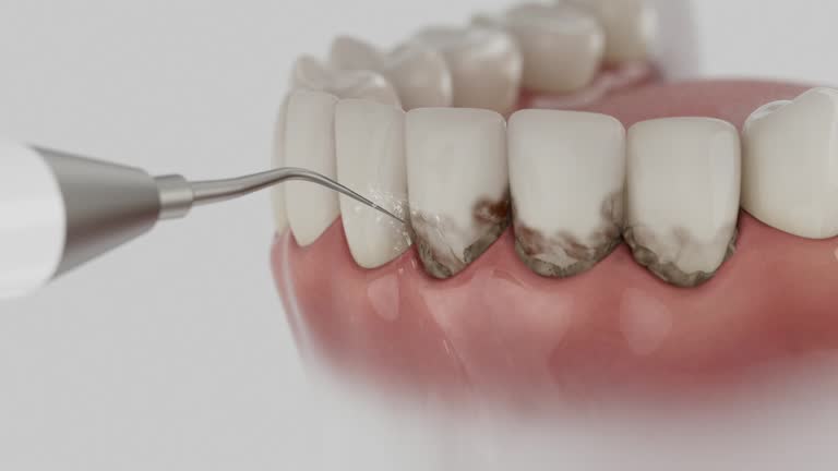 Reliable Dental contractor in Garden City, GA by Dentist Open Now